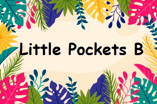 دوره Little Pockets B آموزشگاه زبان سپهر